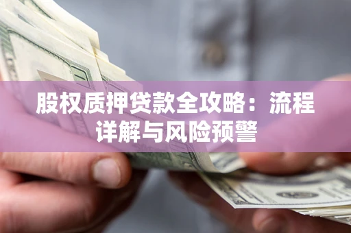 武汉股权质押贷款全攻略：流程详解与风险预警