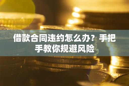 武汉借款合同违约怎么办？手把手教你规避风险