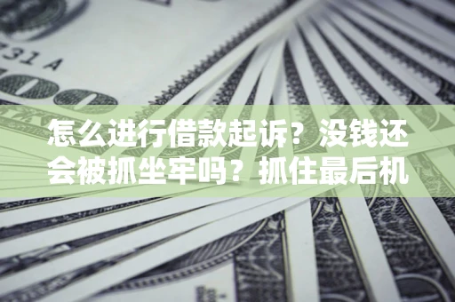 武汉怎么进行借款起诉？没钱还会被抓坐牢吗？抓住最后机会！