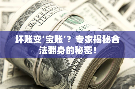 武汉坏账变‘宝账’？专家揭秘合法翻身的秘密！