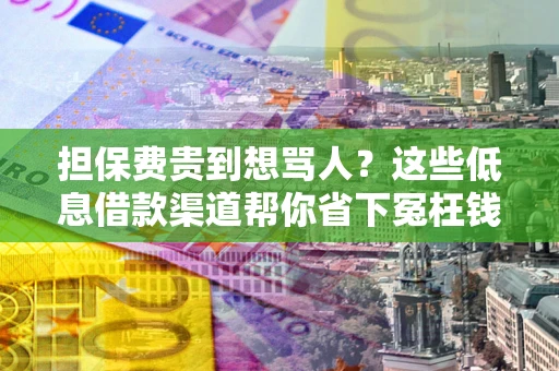 武汉担保费贵到想骂人？这些低息借款渠道帮你省下冤枉钱