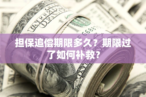 武汉担保追偿期限多久？期限过了如何补救？