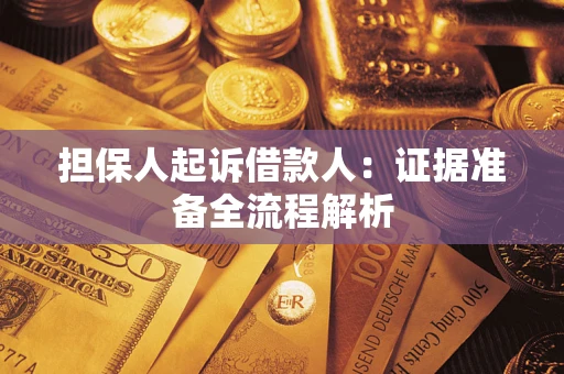 武汉担保人起诉借款人：证据准备全流程解析