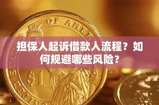 武汉担保人起诉借款人流程？如何规避哪些风险？