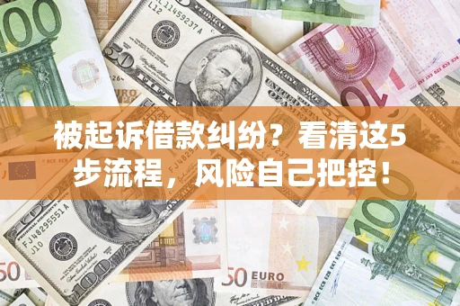 武汉被起诉借款纠纷？看清这5步流程，风险自己把控！