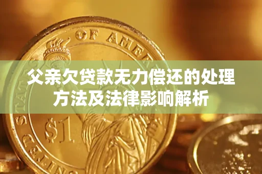 武汉父亲欠贷款无力偿还的处理方法及法律影响解析