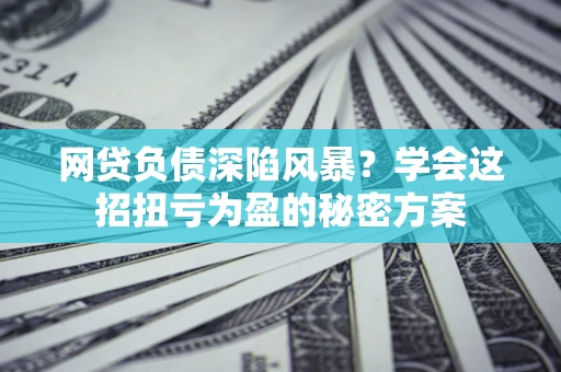武汉网贷负债深陷风暴？学会这招扭亏为盈的秘密方案