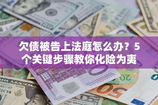 武汉欠债被告上法庭怎么办？5个关键步骤教你化险为夷