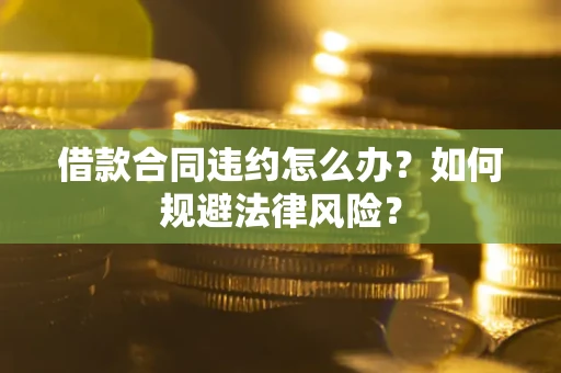 武汉借款合同违约怎么办？如何规避法律风险？